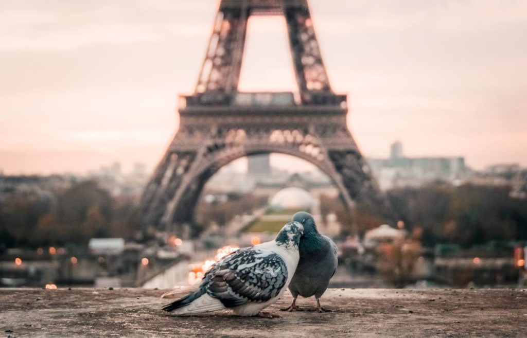 Best romantic trip for couples, Paris, France